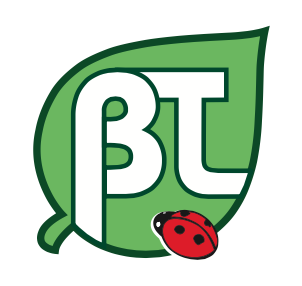 Logo BT